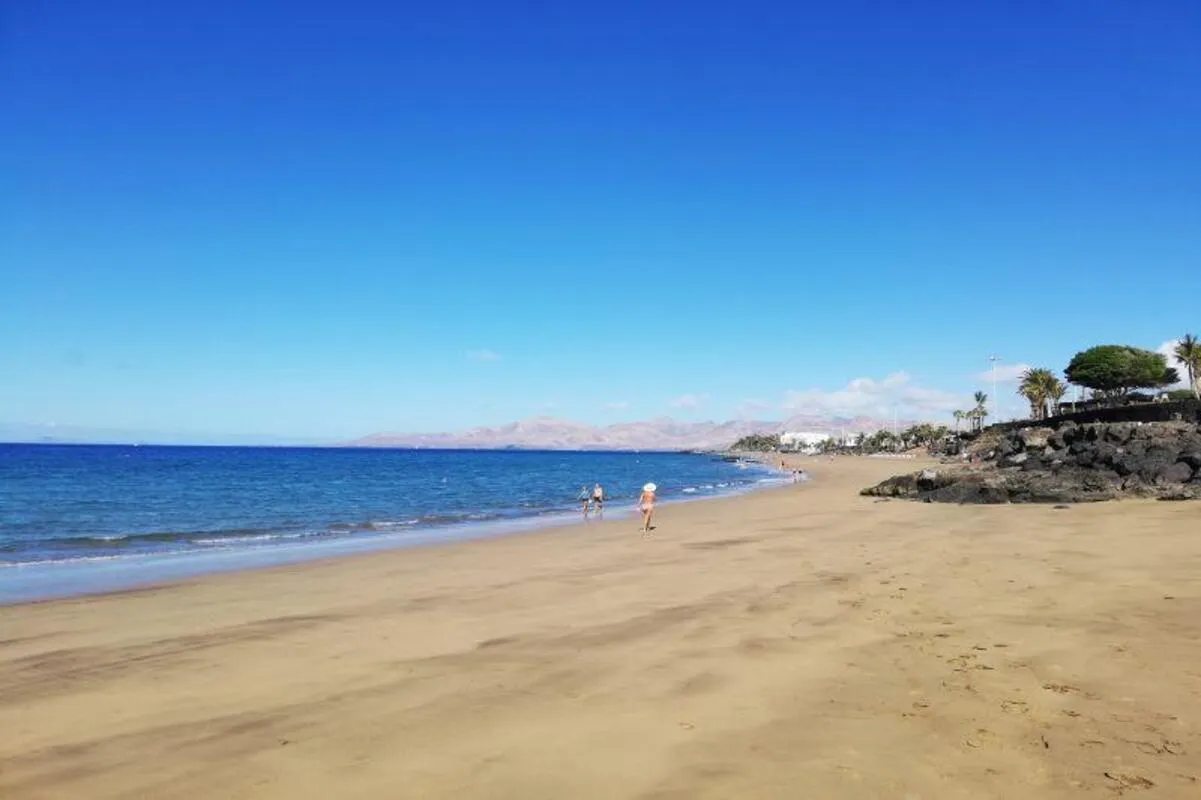 Kava, bevanda tipica delle Fiji