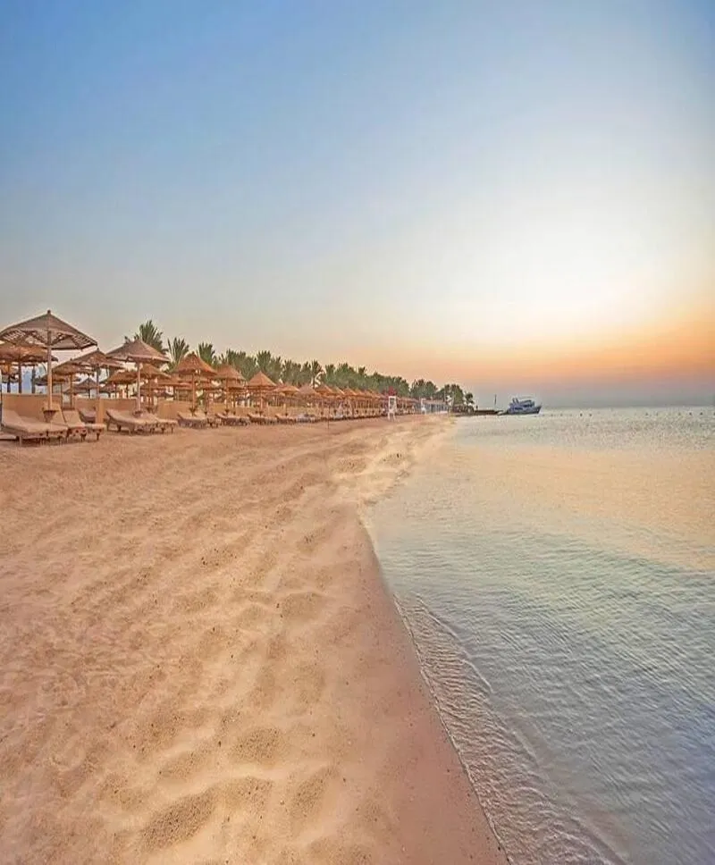 Hurghada (1) Barriera corallina delle Fiji